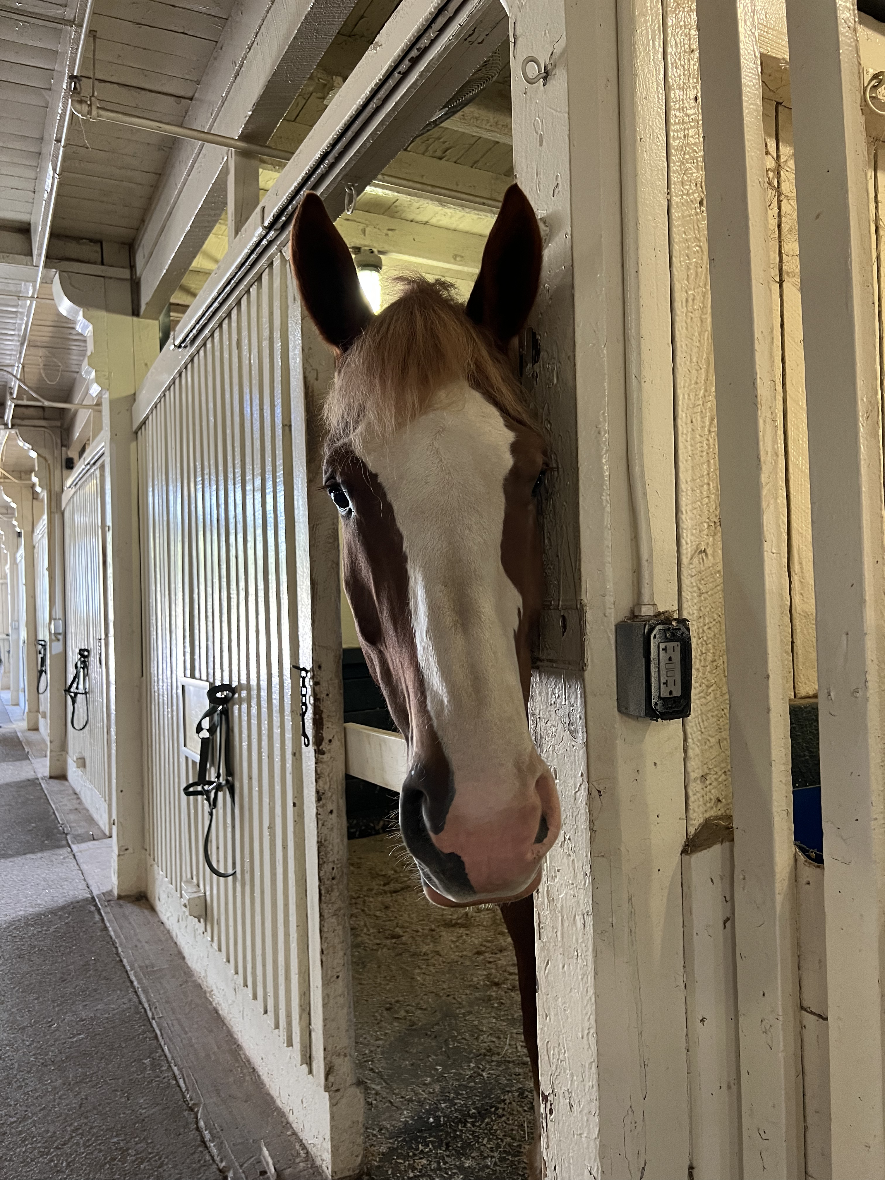 ./2023/12 - Kentucky/IMG_0203.jpg